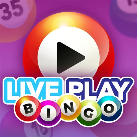 live bingo|Live Bingo.